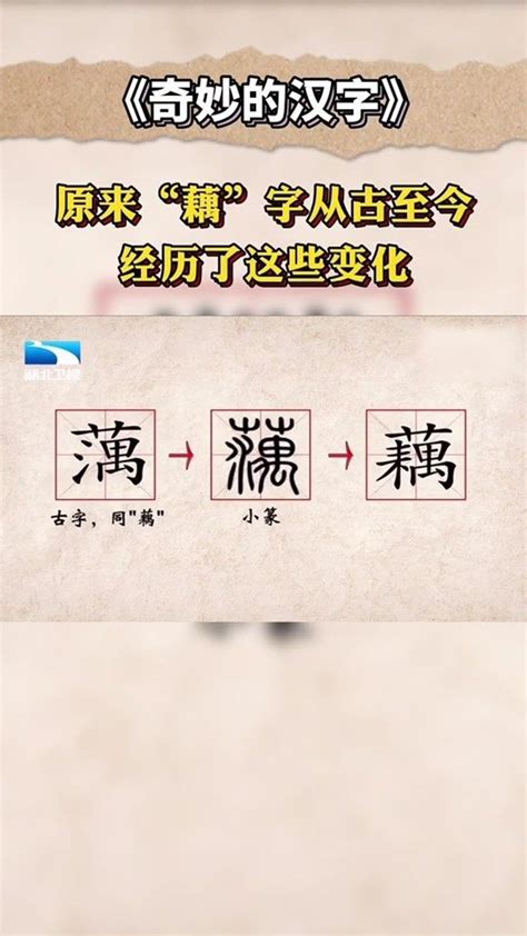 藕21劃|【藕21劃】如何書寫「藕」這個國字？藕字總筆劃21劃原意探索